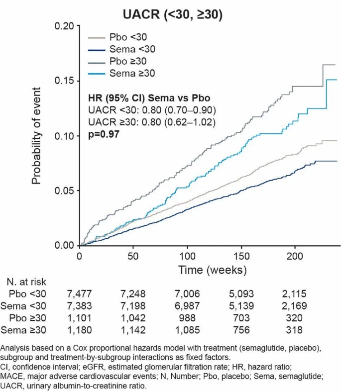 125_2024_6226_Fibbb_HTML